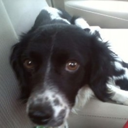 D 2c4a0321 fa06 4470 b07e 56bd64b901bb