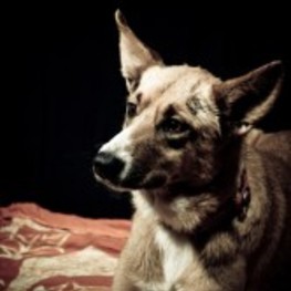 D 3e3c4fb4 ed38 4659 a7e1 b145d5896f9d