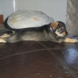 D 40aaaa62 aacd 41c6 ab72 609752c47d0c