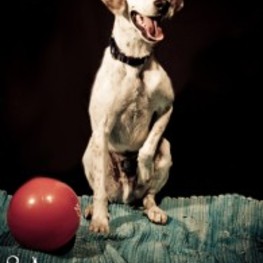 D 8589afb7 a51c 4f90 8066 42e58147a800