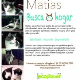 D b302dbc1 a9d2 46bb 8de5 5f45af756017