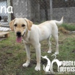 D 64aa2dc5 b24f 4ac9 889c c006a8c9bb28