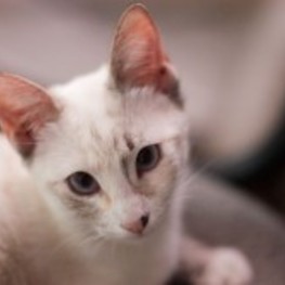 D 2091fc31 7d3e 49b9 aa47 b14ea3ec55ae