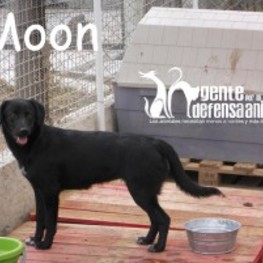 D 9267eb89 8ac5 4af8 95d6 d8b3a936607f