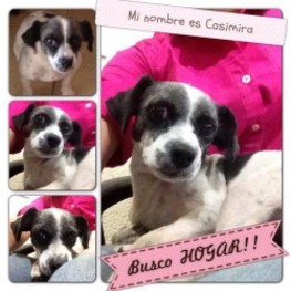 D 2527e32a 614f 49b5 b9fe ea5a1f93ba8f