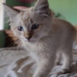 D e1588d75 a4c6 4ece 8e37 af0f2befee6a