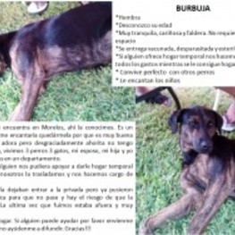 D d5a215d1 27ec 491c b3a3 a4a5a74d9137