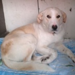 D 8829eaf3 fad1 4e68 a283 c93d5a005830