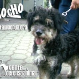 D f3582dd5 9eec 4764 9cd2 bcd012e7cb99