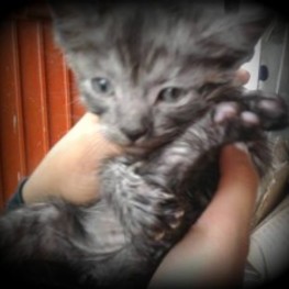 D 6e0073e5 f05e 4455 a224 6be9f4e0b7dc