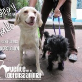 D 036046e4 1859 4f9a 9648 fb9e875936bd