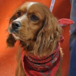 D 1c12a5e0 eee0 4ad1 b4a6 a743403303de