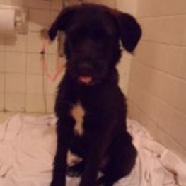 D 80f6d144 fc3b 411a bdae 86b66b7956ba