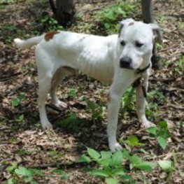 D 4c270ce3 e1e7 417e bc57 3d2b0c778b48