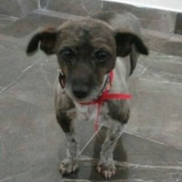 D 03836fe9 55e4 4e54 be8c e714a0f26904