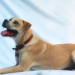 D 2c13ba69 b59e 4446 bad4 2caf10eda676