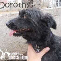 D 28fa6225 7d1b 47a2 ade3 135a5ca13ef3