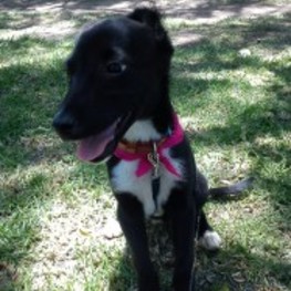 D 66ccef81 c41f 41b5 ac06 2b0df24d4cdc