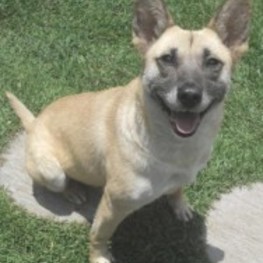 D 35217905 5b4e 4f5c b13f 594122845172