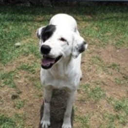 D 2c06d750 f483 4f69 ba6b 6501f4841b74