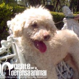 D 16d56faf e8ec 4825 a214 191663f2ddef