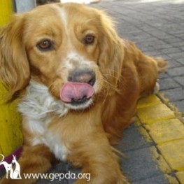 D 656247a0 71ff 4245 ac40 a15a82d7f290