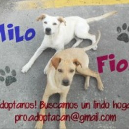 D 2d060f10 04d6 4145 98d2 1dc214240253