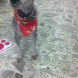 D 63f171e8 2dfb 44b3 b2b6 f1e90c94051e