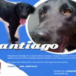 D 6bcceb59 8eb2 4987 bd25 04c9a4181297