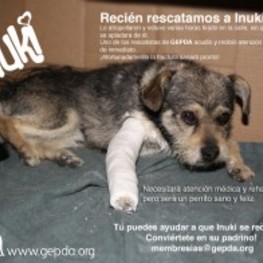 D 4d0b0637 326e 4293 85a2 ad641bf2e71a