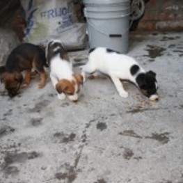 D ded3b174 dd10 49d1 9621 041286b9efc3