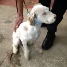 D 65ca7d5f 474c 416e a932 a2defc66ed81