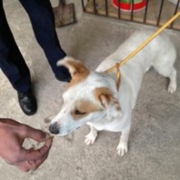 D 6cf1dbcc e8fd 4612 9bd4 ca8c4b25e90d