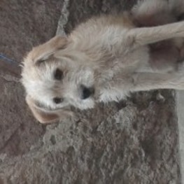 D 0a7651ec 124e 4da9 8db7 db1b16d37c37