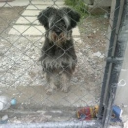 D cba8b8aa 38e4 4f07 9906 5a856d7a4348