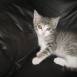 D 57b9be18 f7e6 4263 86fc 1bde7eda01f6