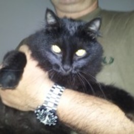 D ebc2eb02 6eae 4d7a a37e 223fa15a364f