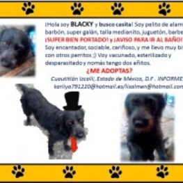 D d0c49fb7 16ea 48c2 9e48 9b811110d7cc