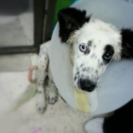 D e4d7ed8d 4751 4b95 9abe 363f17d29889