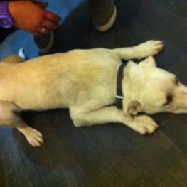 D b297f244 4ac3 4da3 a685 633d20c2404b