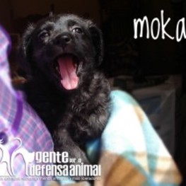 D 2b554ef3 6698 4fc4 93b2 8d23e2ef8541