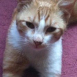 D e4fa1024 26c0 4bbc b030 3dac2e12cab5