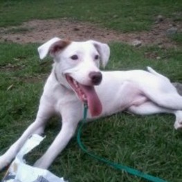 D d6e36bc2 613d 41c4 8f57 892dfbb14c1c