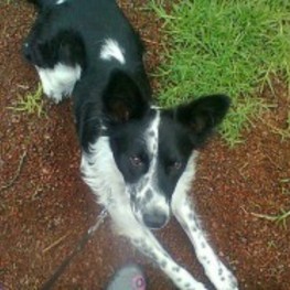 D f725f7bb 2bb9 4442 bd04 85c161f46ad9