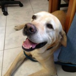 D 0ba28459 a1ea 4a23 9d75 f68c132f8624