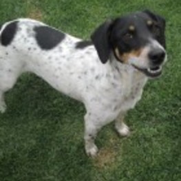 D af8c10c5 3d8e 4d77 91e3 3a3933d75404