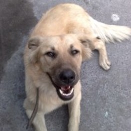 D 042f23de 98bf 4e9a 96dd 2cf03772579a