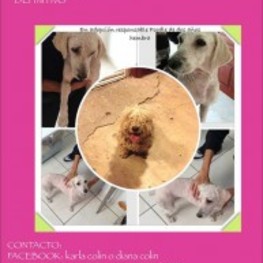 D 72701bdc 301c 41b6 a9df eefe2c956ce5