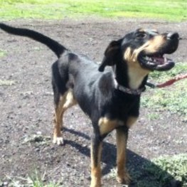 D e70aaf8a 513d 45df a1a3 4e3d946ea357