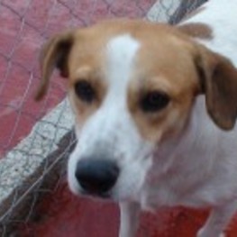 D 5b17b9ba 1e62 4f35 887f f0185c89bd84